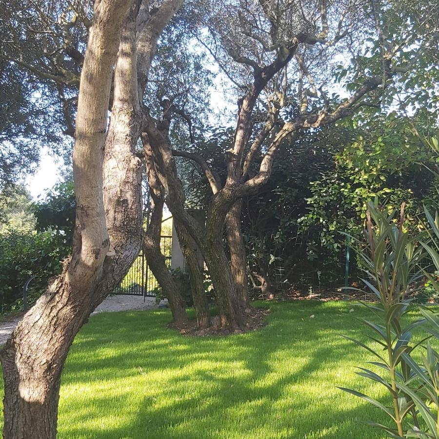 Roussillon en Isere ル チャント デュ クール Bed & Breakfast エクステリア 写真